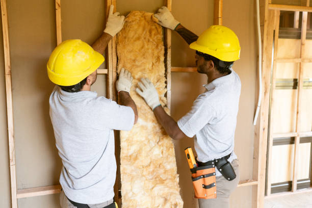 Best Insulation Repair Services  in Georgetown, CT